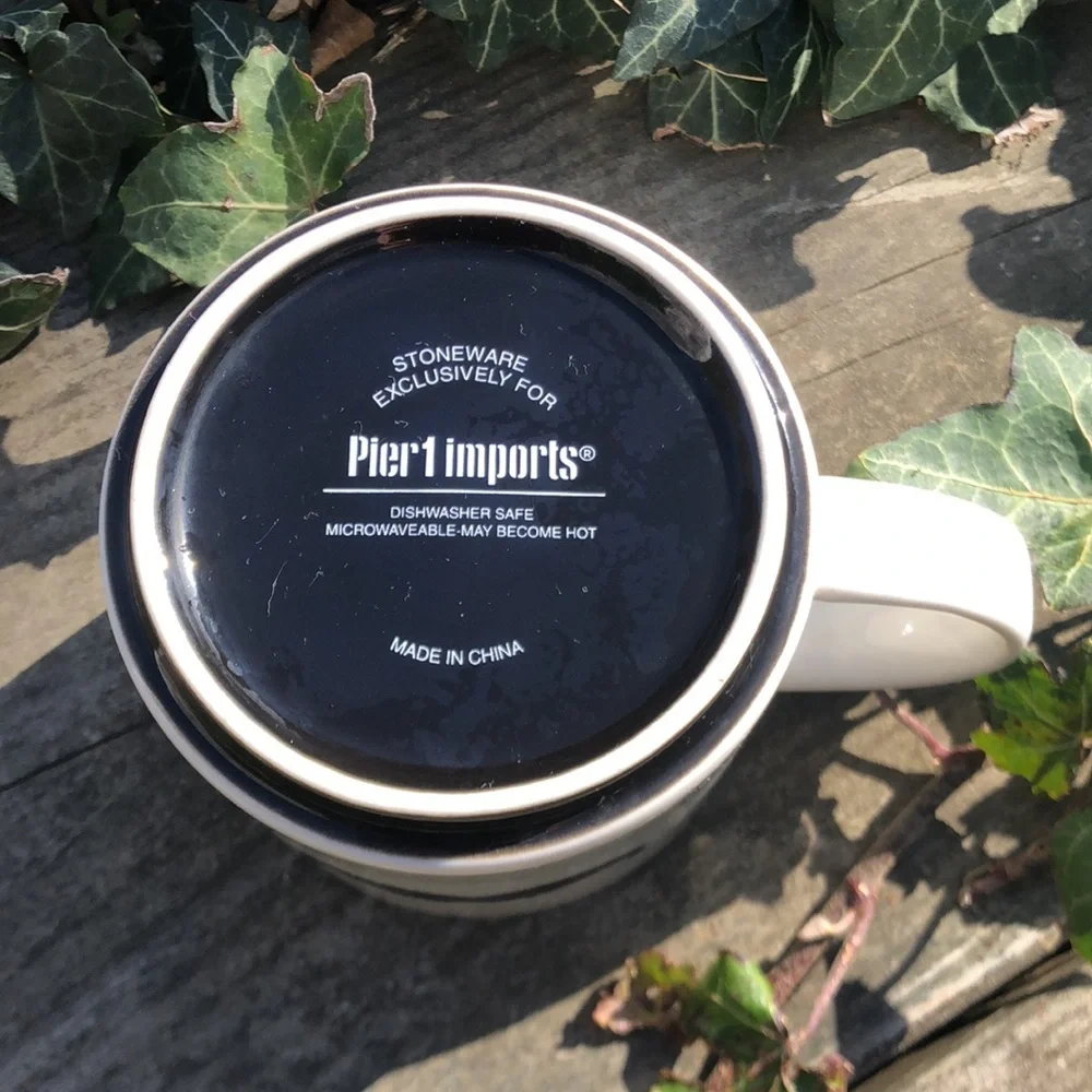Pier 1 Imports Mustache Mug